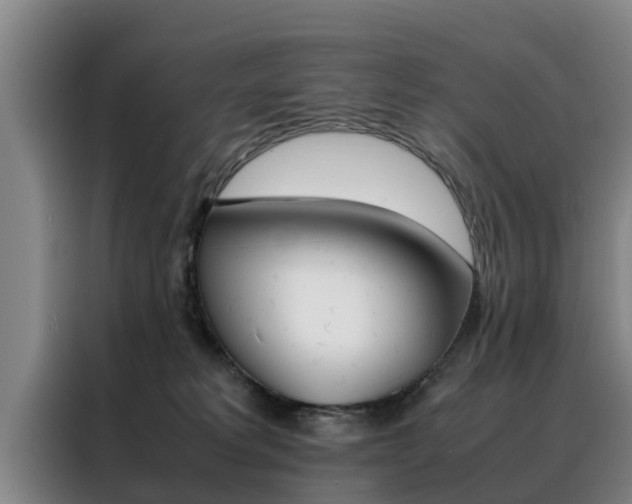 X0000088400229200705220828