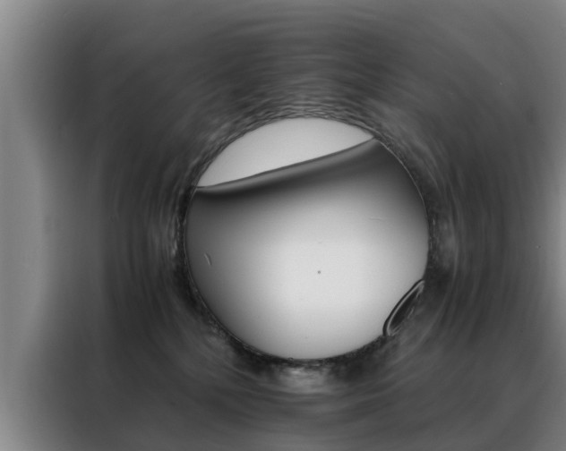 X0000088400232200705220828