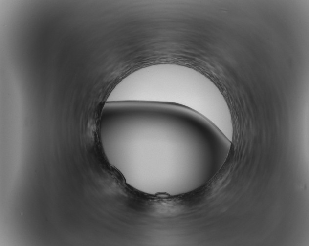 X0000088400235200705220828