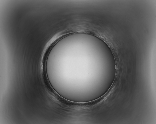 X0000088400246200705220827