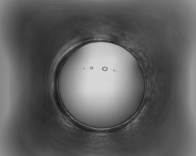 X0000088400247200705220827