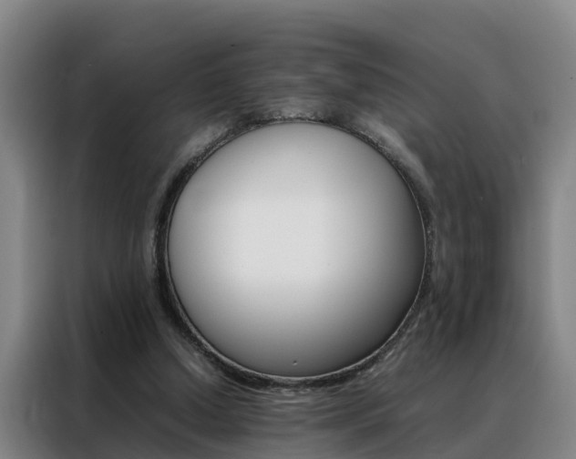 X0000088400250200705220827