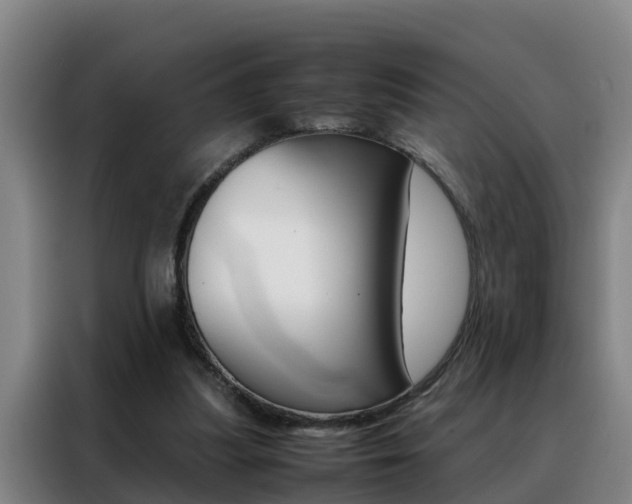 X0000088400251200705220827