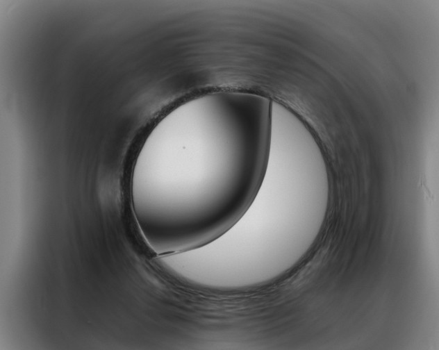 X0000088400252200705220827