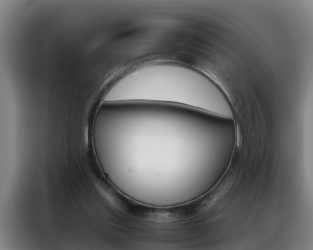 X0000088400253200705220827
