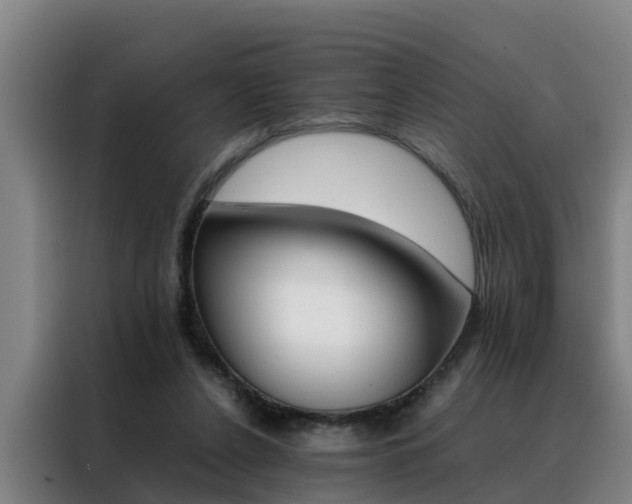X0000088400256200705220827