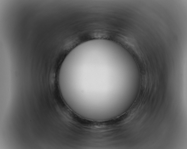 X0000088400263200705220827