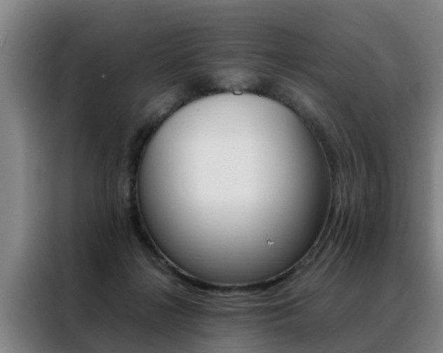 X0000088400268200705220827