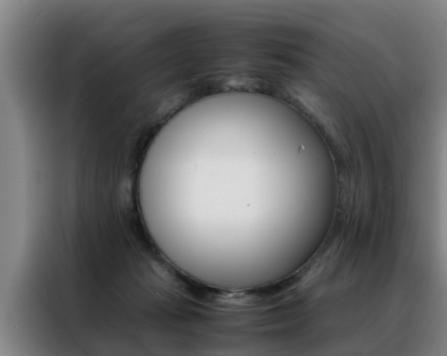 X0000088400269200705220827