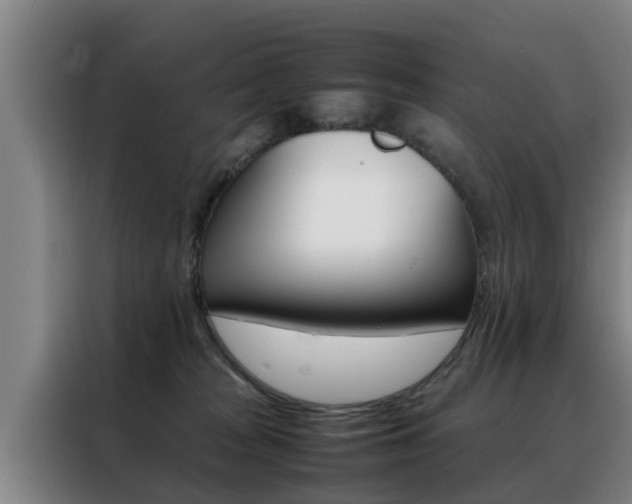 X0000088400277200705220827