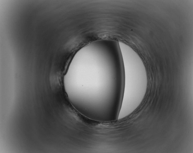 X0000088400280200705220827