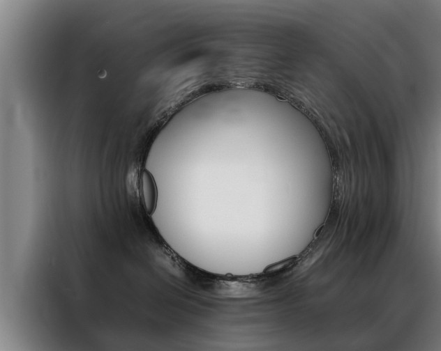 X0000088400286200705220827