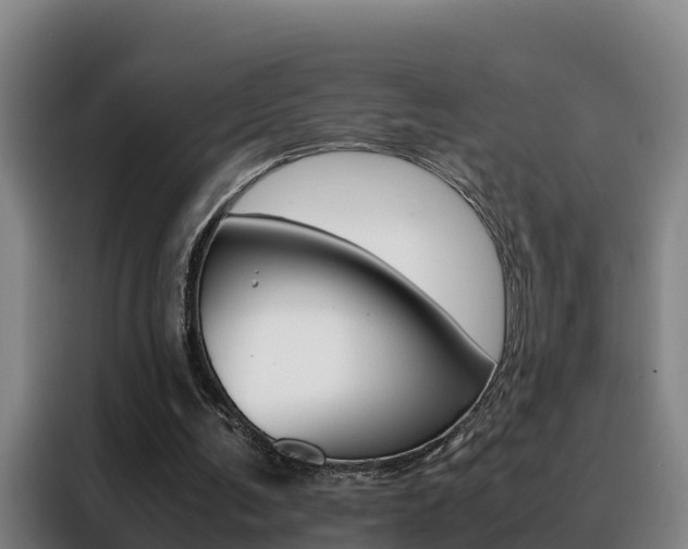 X0000088400291200705220827