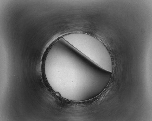 X0000088400292200705220827