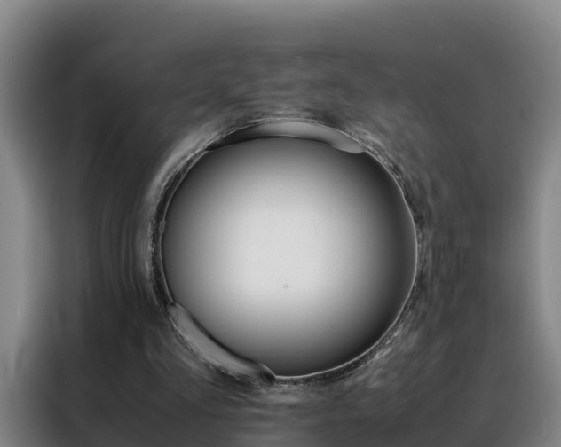 X0000088400293200705220827