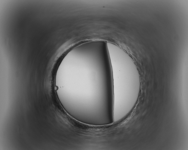X0000088400295200705220827