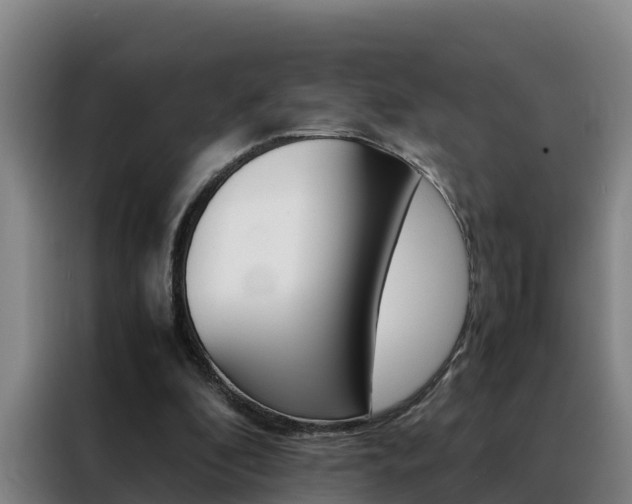 X0000088400296200705220827