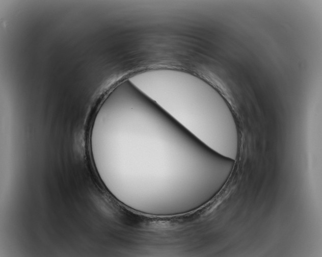 X0000088400298200705220827