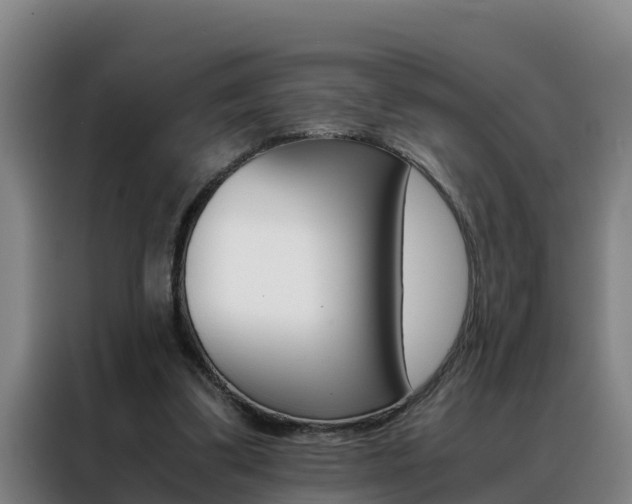 X0000088400299200705220827