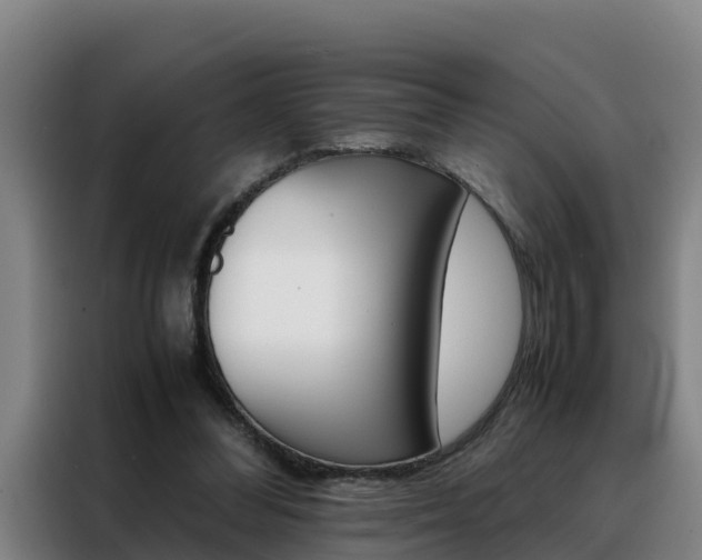 X0000088400300200705220827