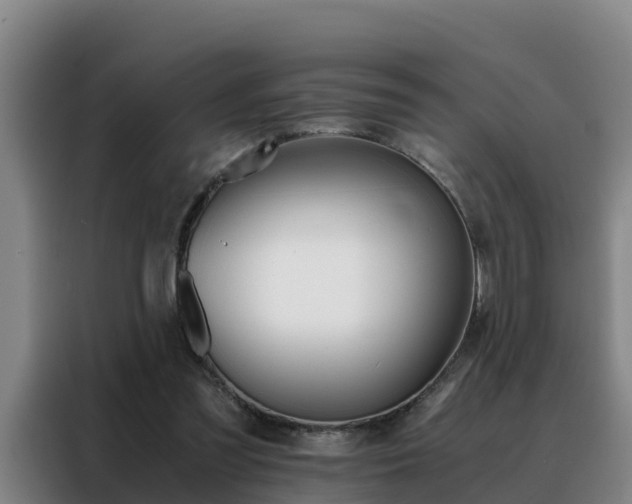 X0000088400301200705220827