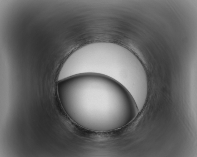 X0000088400305200705220827