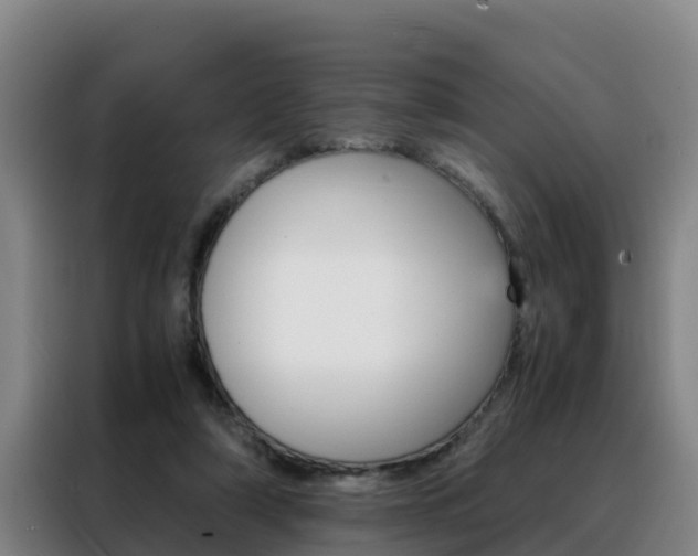 X0000088400306200705220827