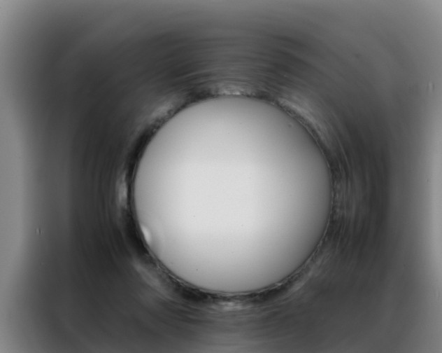 X0000088400310200705220827