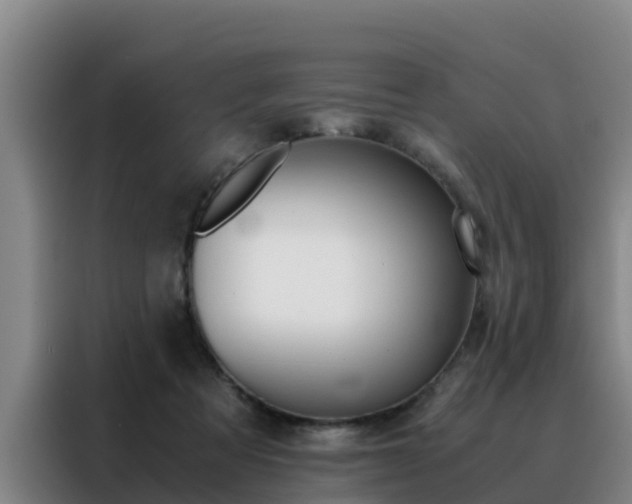 X0000088400313200705220827