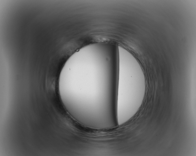 X0000088400315200705220827