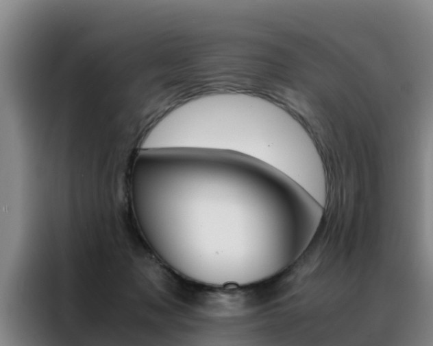 X0000088400317200705220826