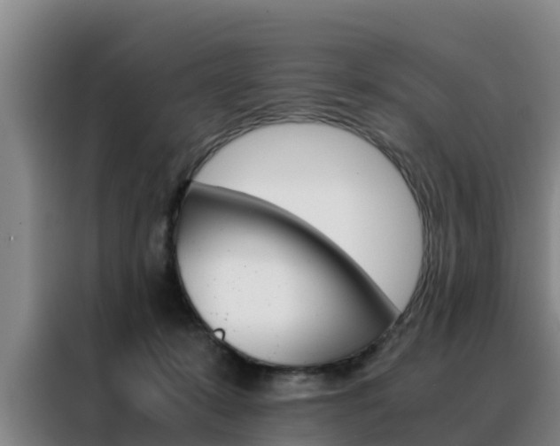 X0000088400319200705220826