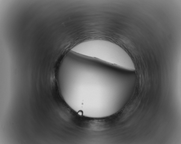 X0000088400320200705220826