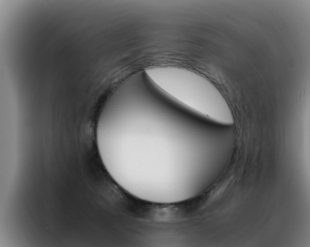 X0000088400321200705220826