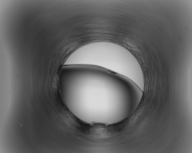 X0000088400325200705220826