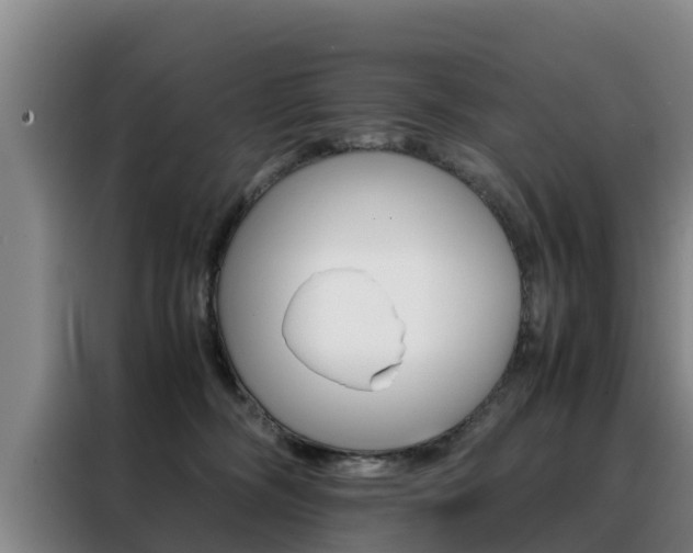 X0000088400326200705220826