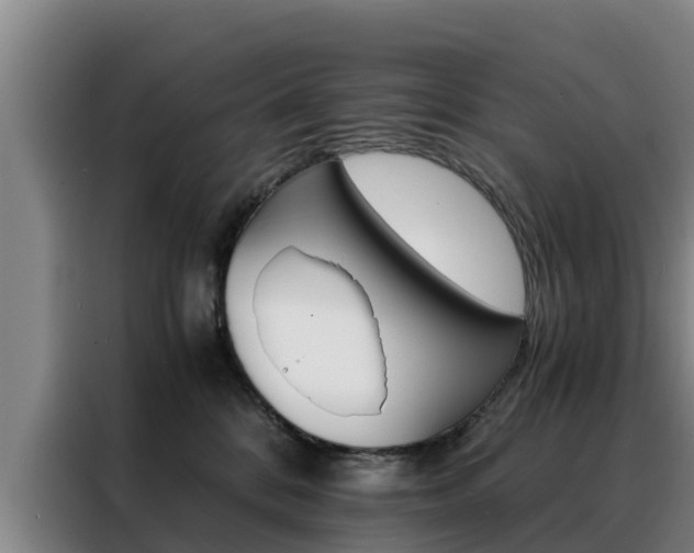 X0000088400328200705220826