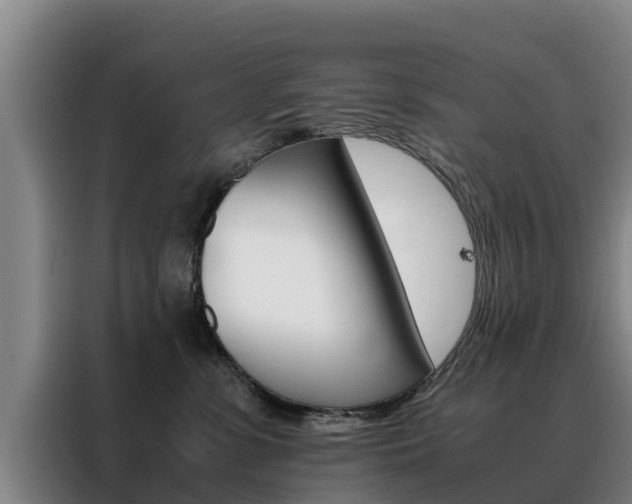 X0000088400331200705220826