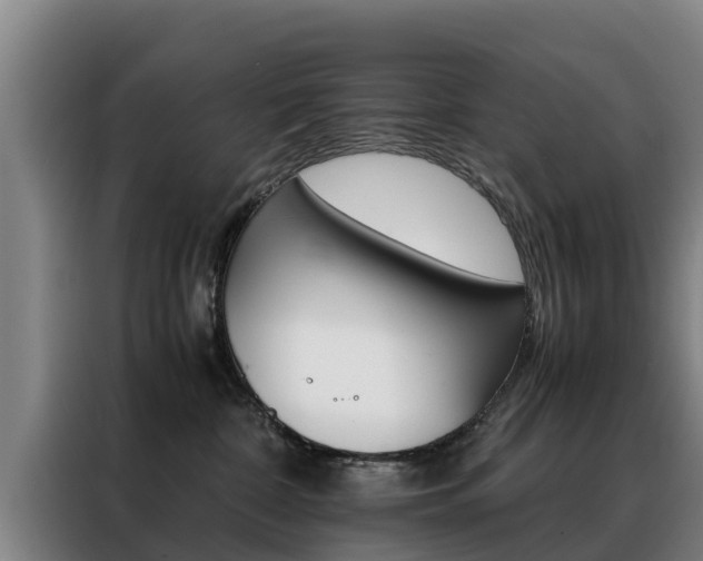 X0000088400332200705220826