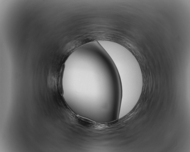 X0000088400333200705220826