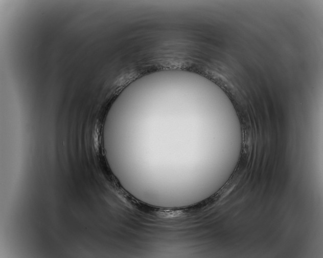 X0000088400334200705220826