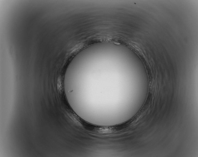 X0000088400335200705220826