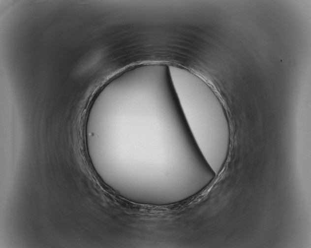 X0000088400337200705220826
