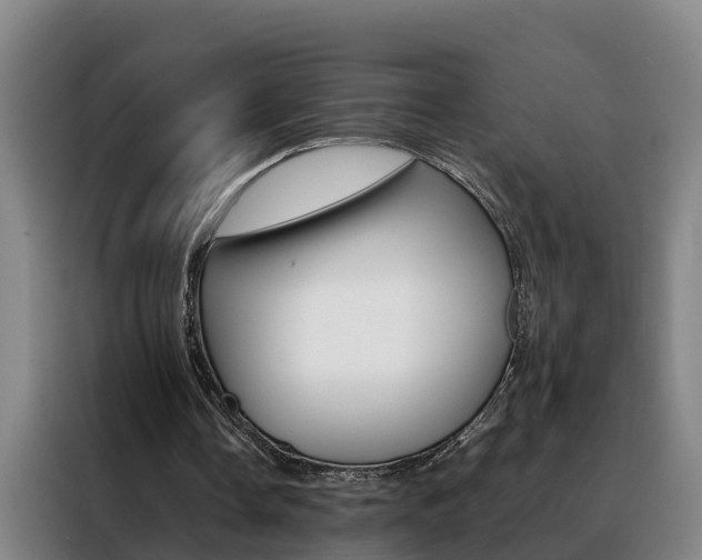 X0000088400338200705220826