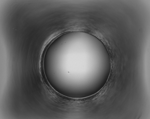 X0000088400340200705220826