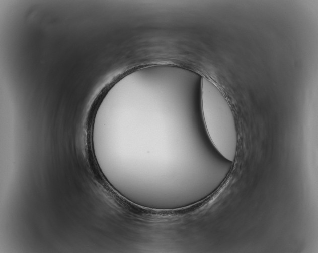 X0000088400342200705220826