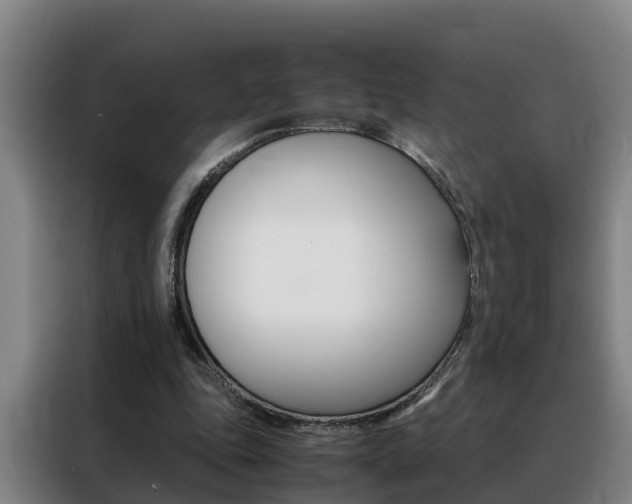 X0000088400343200705220826