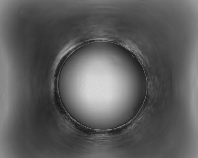 X0000088400344200705220826