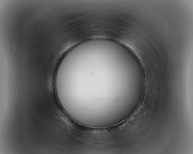 X0000088400345200705220826