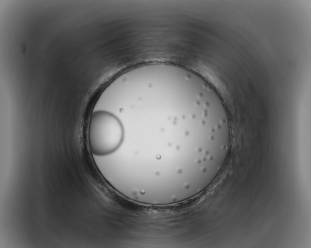 X0000088400346200705220826